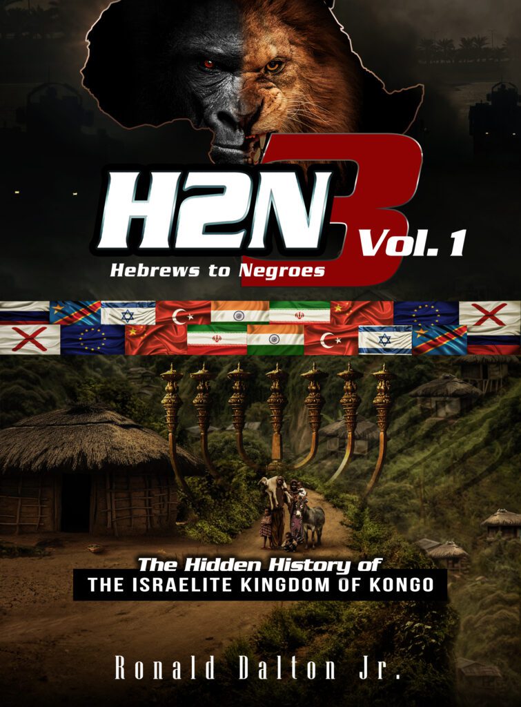 H2N3 – Volume 1